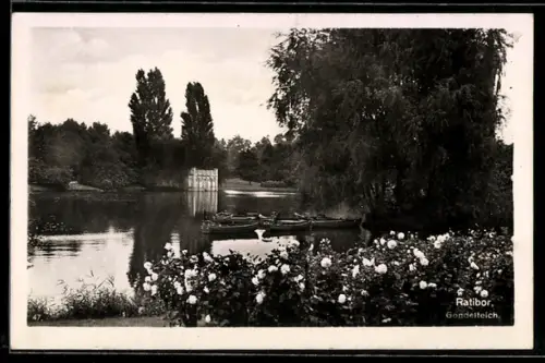 AK Ratibor, Gondelteich