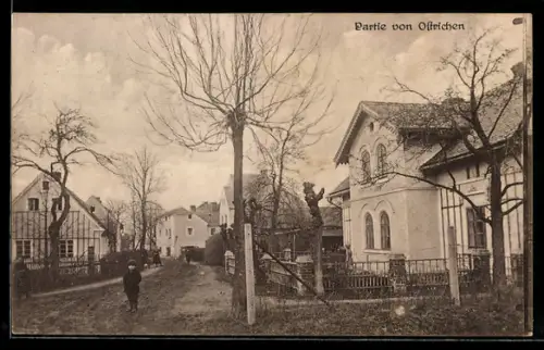 AK Ostrichen, Ortspartie mit Villa und Whnhäusern