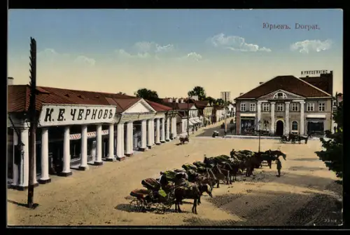 AK Dorpat, Ortspanorama mit Pferdekutschen