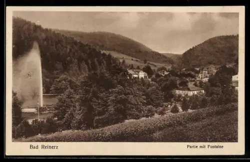 AK Bad Reinerz, Partie mit Fontaine