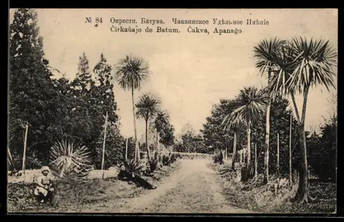 AK Cirkauajo de Batum, Cakva, Apanago