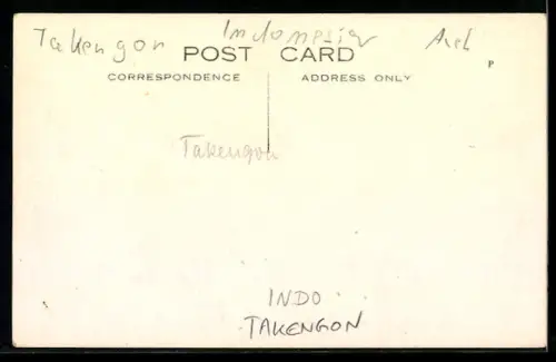 AK Takengon, Panorama