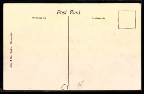 AK Kandy, General View