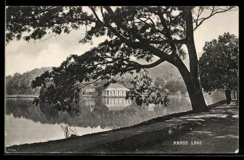 AK Kandy, Lake