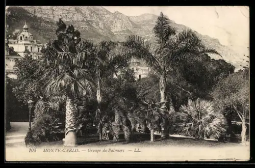 AK Monte-Carlo, Groupe de Palmiers