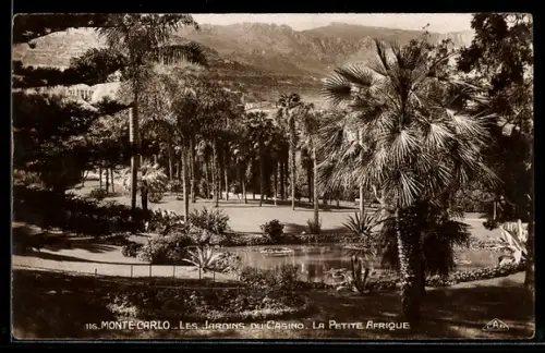 AK Monte-Carlo, Les Jardins du Casino, La Petite Afrique