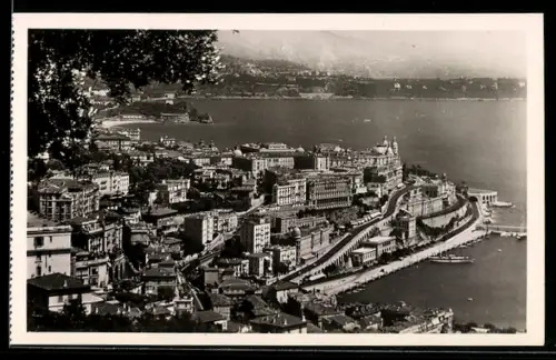 AK Monte-Carlo, Vue générale