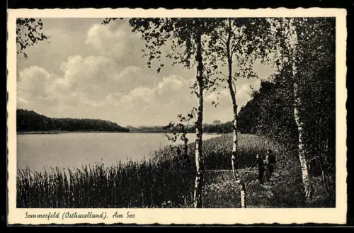 AK Sommerfeld /Osthavelland, Am See
