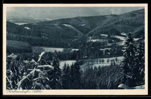 AK Görbersdorf i. Schles., Panorama