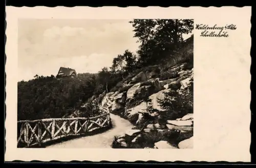 AK Waldenburg i. Schles., Schillerhöhe