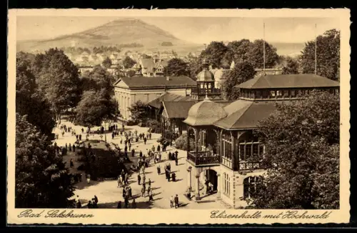 AK Bad Salzbrunn, Elisenhalle mit Hochwald