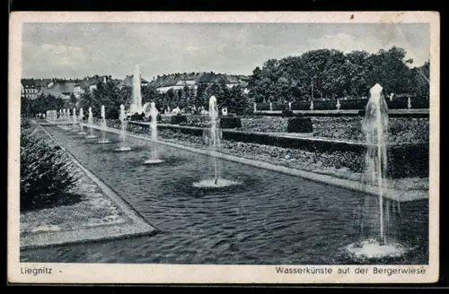 AK Liegnitz, Wasserkünste auf der Bergerwiese