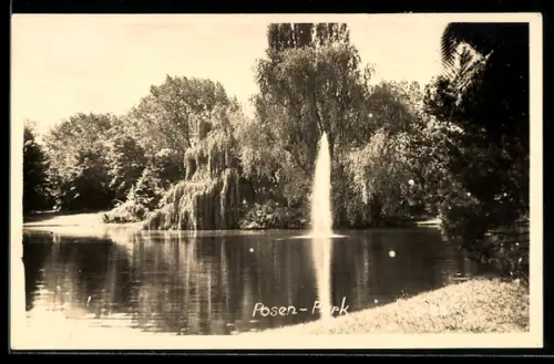 AK Posen, Park mit Fontäne