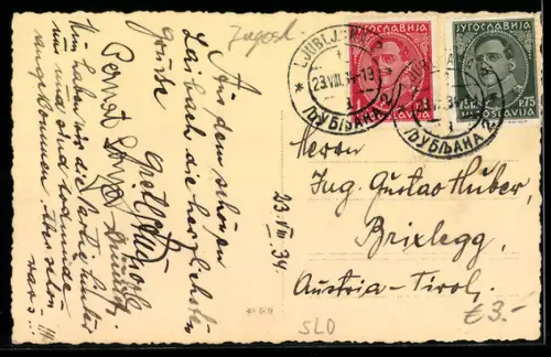 AK Ljubljana, Razgled