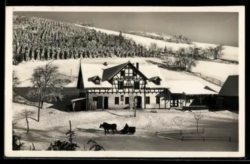 AK Ober-Reimswaldau, Freudenschlossbaude, Bes. Traugott Kunze