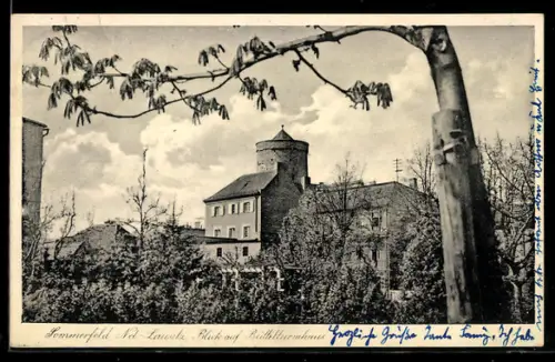 AK Sommerfeld / Lubsko, Blick auf Büffelturmhaus
