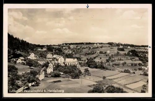AK Wilhelmsfeld b. Heidelberg, Ortsansicht mit umliegenden Feldern