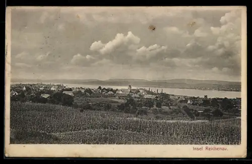 AK Reichenau, Blick auf die Insel Reichenau mit Hopfenfeldern im Vordergrund