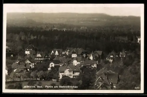 AK Bad Altheide, Partie am Badewäldchen