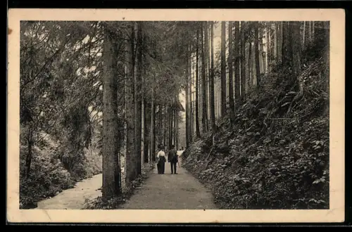 AK Bad Reinerz, Waldpartie nach der Schmelze