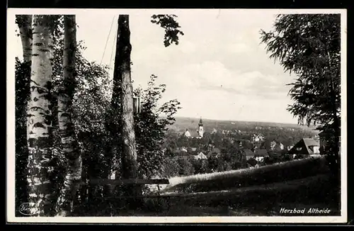 AK Bad Altheide, Ortsansicht von einem Aussichtspunkt aus