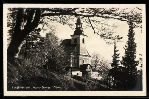 AK Wölfelsgrund, Gasthaus Maria Schnee