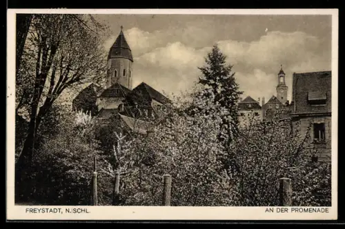 AK Freystadt /N. Schles., Partie an der Promenade