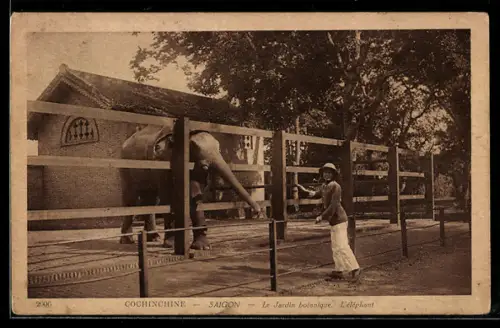 AK Saigon, Le Jardin botanique, L`éléphant