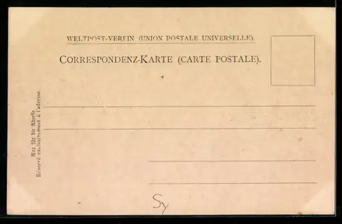 AK Damaskus, Moschee, Panorama