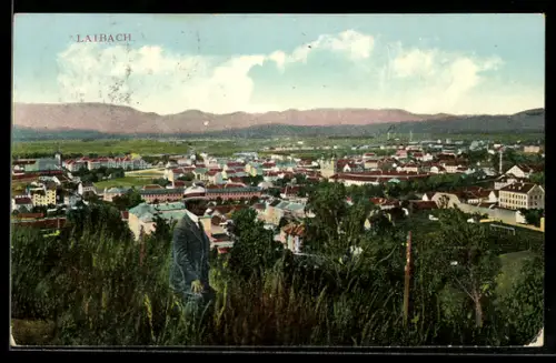 AK Laibach, Gesamtansicht mit Spaziergänger