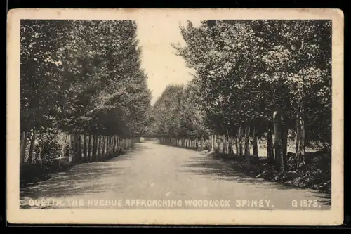 AK Quetta, The Avenue approaching Woodlock Spiney