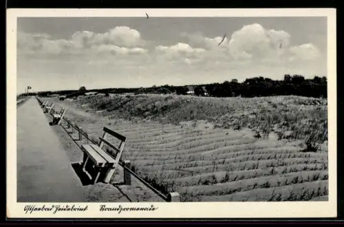 AK Heidebrink /Ostsee, Strandpromenade mit Dünen