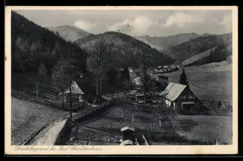 AK Bad Charlottenbrunn, Blick auf den Drechslergrund