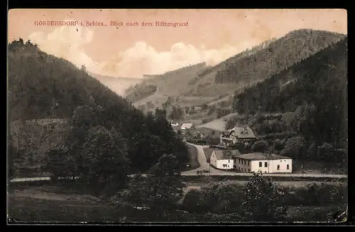 AK Görbersdorf i. Schles., Blick nach dem Blitzengrund