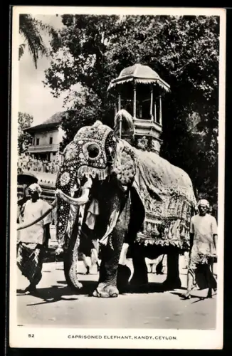 AK Kandy, Caprisoned Elephant