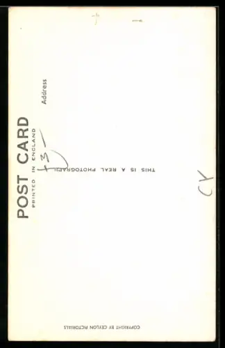 AK Kandy, Caprisoned Elephant