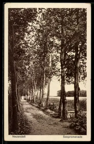 AK Neuwedell, Seepromenade
