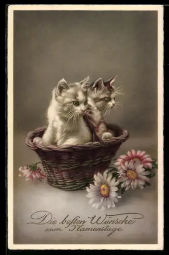 AK Zwei Katzen im Korb mit Margeriten, Glückwunsch zum Namenstag