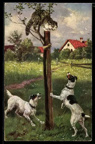 Künstler-AK Terrier bellen die Katze im Baum an