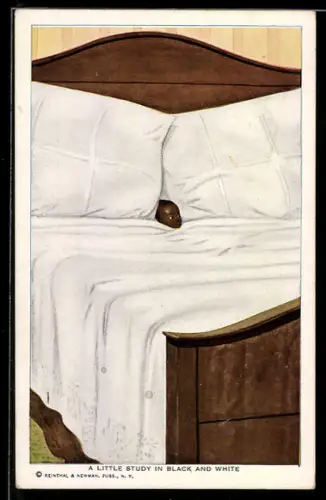 AK A Little Study in Black and White, Dunkelhäutiges Kind im weissen Bett, Kolonialhumor