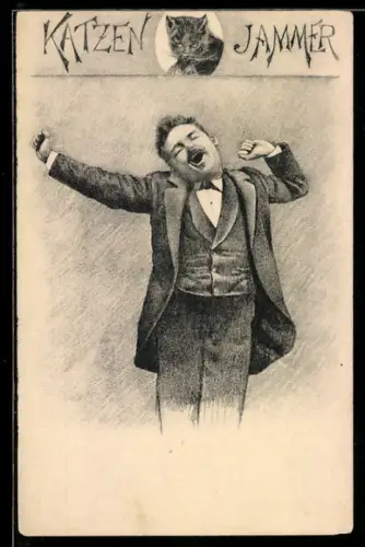 AK Katzenjammer, Junger Mann reckt sich, Katze