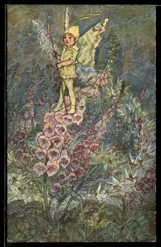 AK Geflügelter Elfenjunge auf Fingerhut-Blüten