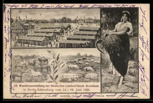 AK Berlin-Schöneberg, 20. Wanderausstellung d. Dt. Landwirtschaftlichen-Gesellschaft 1906, Bäuerin, Schweine, Pferde