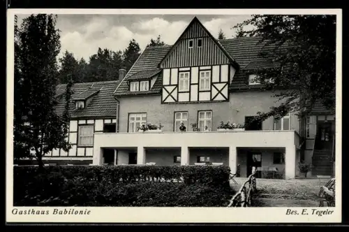 AK Holzhausen /Preussisch Oldendorf, Gasthaus Babilonie, Bes. E. Tegeler