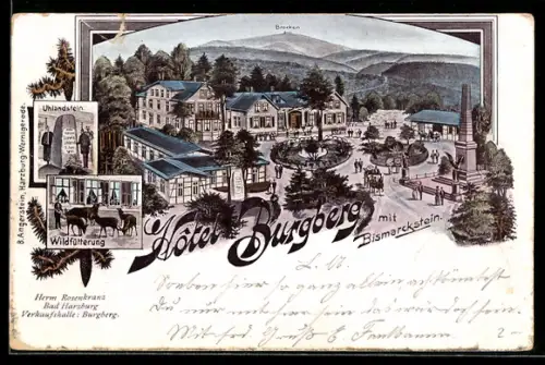 Lithographie Harzburg, Hôtel Burgberg mit Bismarckstein und Brocken, Uhlandstein, Wildfütterung