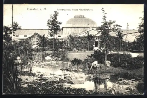 AK Frankfurt-Westend, Palmengarten, Neues Gewächshaus, Teich, Gartenanlage