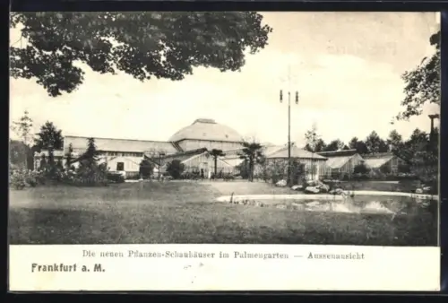 AK Frankfurt-Westend, Pflanzen-Schauhäuser im Palmengarten, Teich