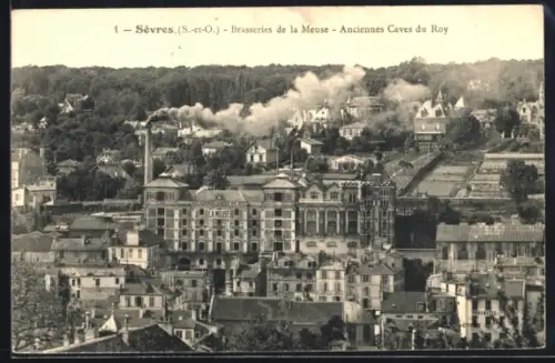 AK Sèvres /S.-et-O., Brasseries de la Meuse, Anciennes Caves du Roy