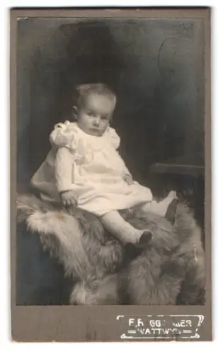 Fotografie E. Roggwiller, Wattwyl, Kleinkind auf Fell sitzend