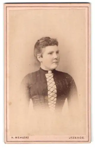 Fotografie H. Mehlert, Itzehoe, Portrait einer Dame